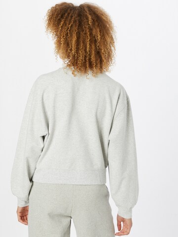 Abercrombie & Fitch Sweatshirt 'TERRY' in Grey