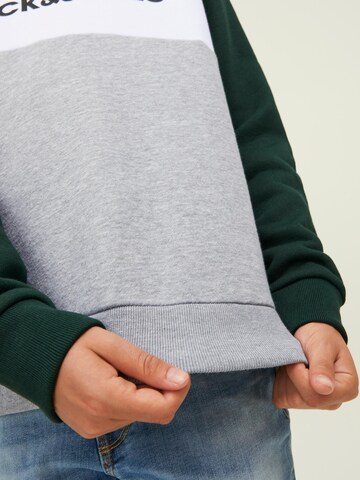 Jack & Jones Junior Regular fit Sweatshirt in Gemengde kleuren