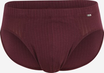 SCHIESSER Slip 'Supermini' in Rood: voorkant