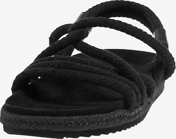 Pull&Bear Sandals in Black: front
