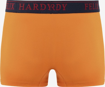 Boxer di Felix Hardy in colori misti