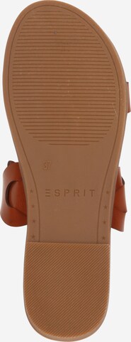 Mule ESPRIT en marron