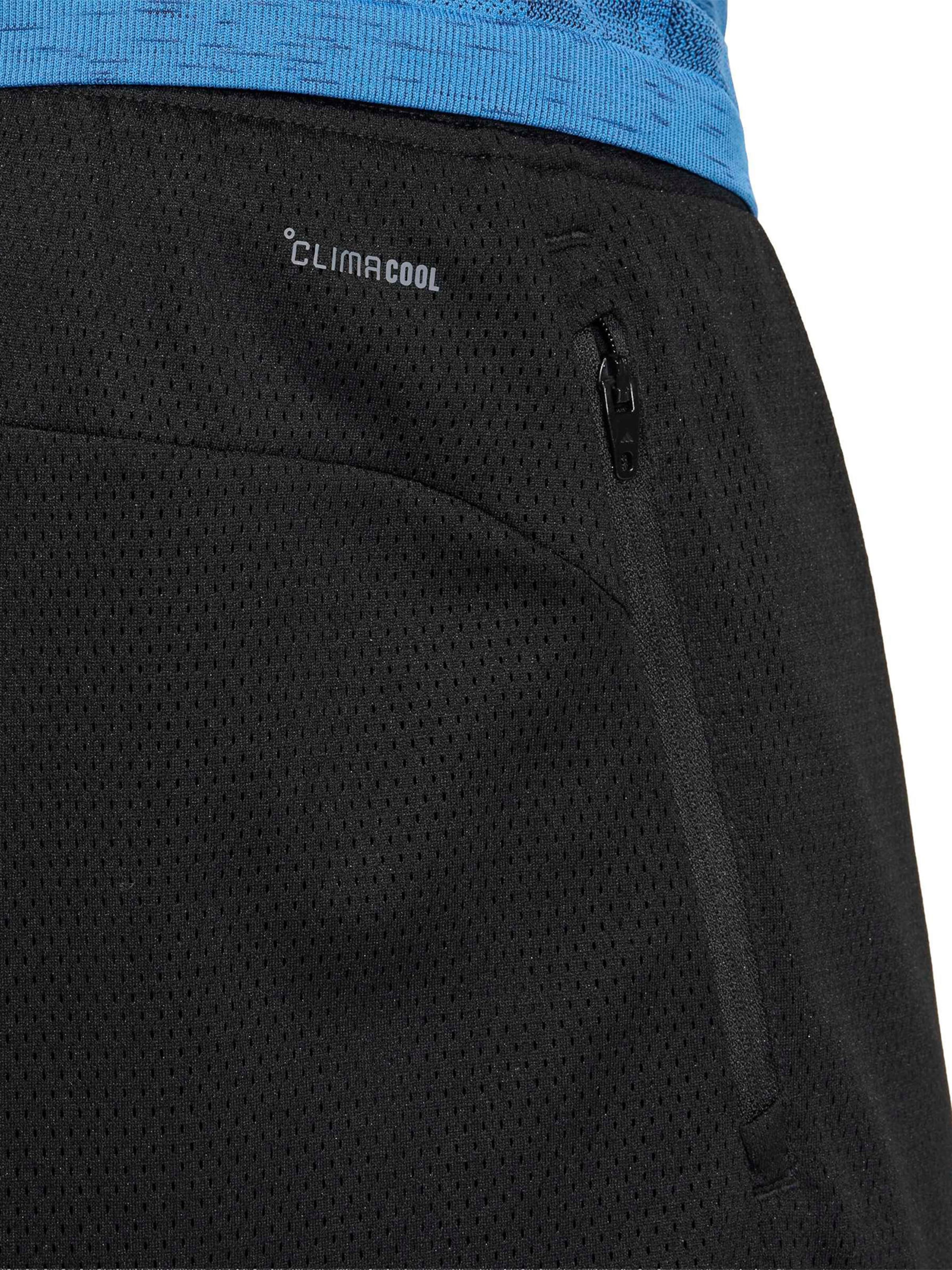 ADIDAS PERFORMANCE Regular Workout Pants 'PESS' in Black