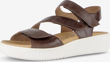 GABOR Riemensandale in Braun: Vorderseite