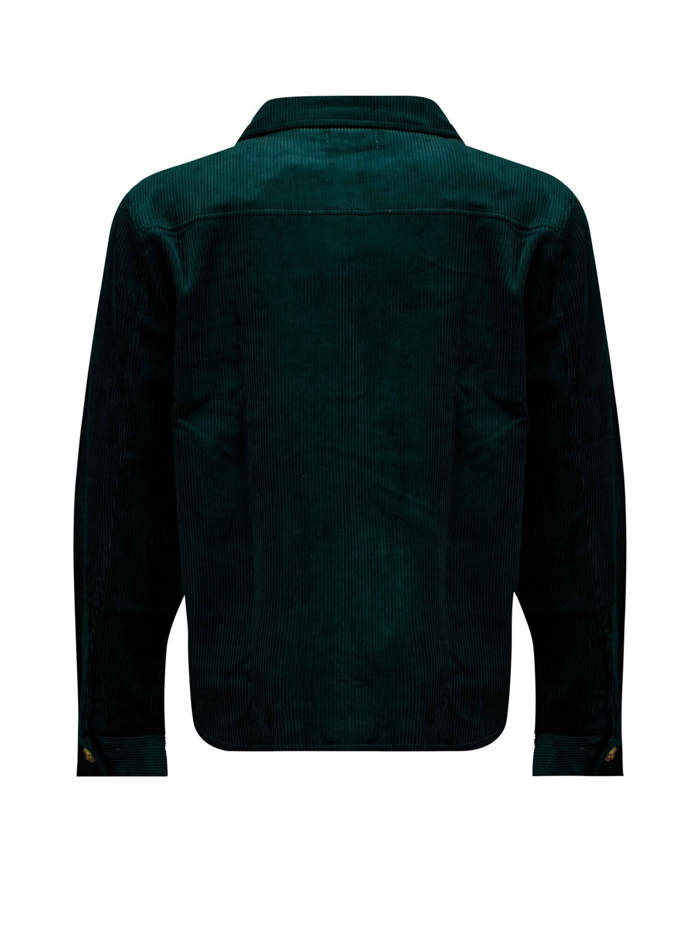 Coupe regular T-Shirt ' ALINO ' Deeluxe en vert