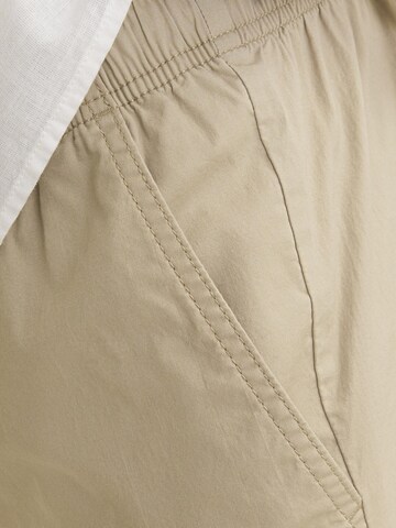 JACK & JONES Regular Shorts 'JAIDEN' in Beige