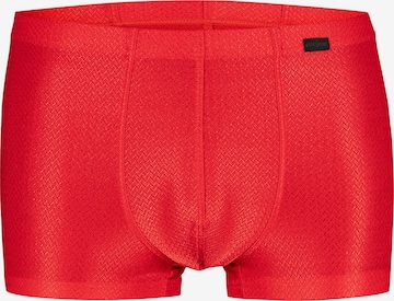 Olaf Benz Retro Pants ' RED2507 Minipants ' in Rot: Vorderseite