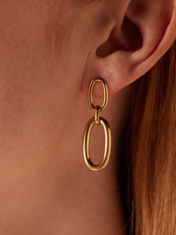 Lucardi Earrings in Gold: front