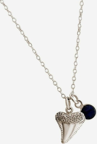 Gemshine Necklace in Silver: front