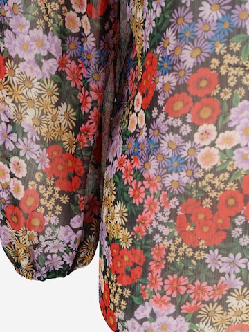 Wallis Petite Bluzka w kolorze mieszane kolory