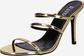 Raid Mules 'LAREINA' in Gold: front