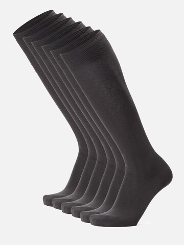 Ciocca Knee High Socks in Grey: front