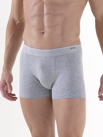 Boxers Blackspade en bleu : devant