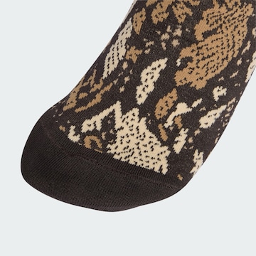 ADIDAS ORIGINALS - Meias 'Snake Crew' em castanho