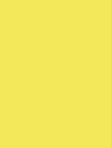 Ornement pour cheveux BRUNCHIES® en jaune
