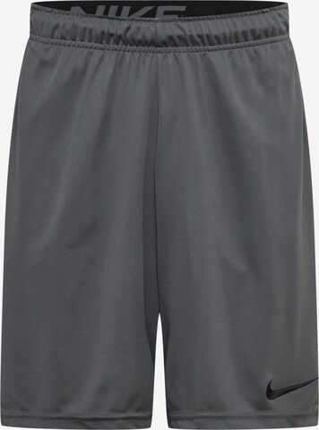 NIKE Regular Sports trousers '6.0' in Grey: front