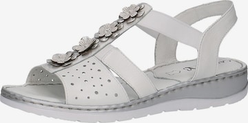 CAPRICE Sandals in White: front