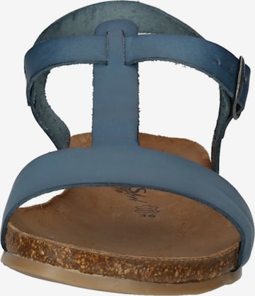 COSMOS COMFORT Sandaal in Blauw