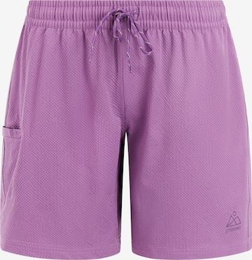Boardshorts 'PRTAgaat 25' PROTEST en violet : devant