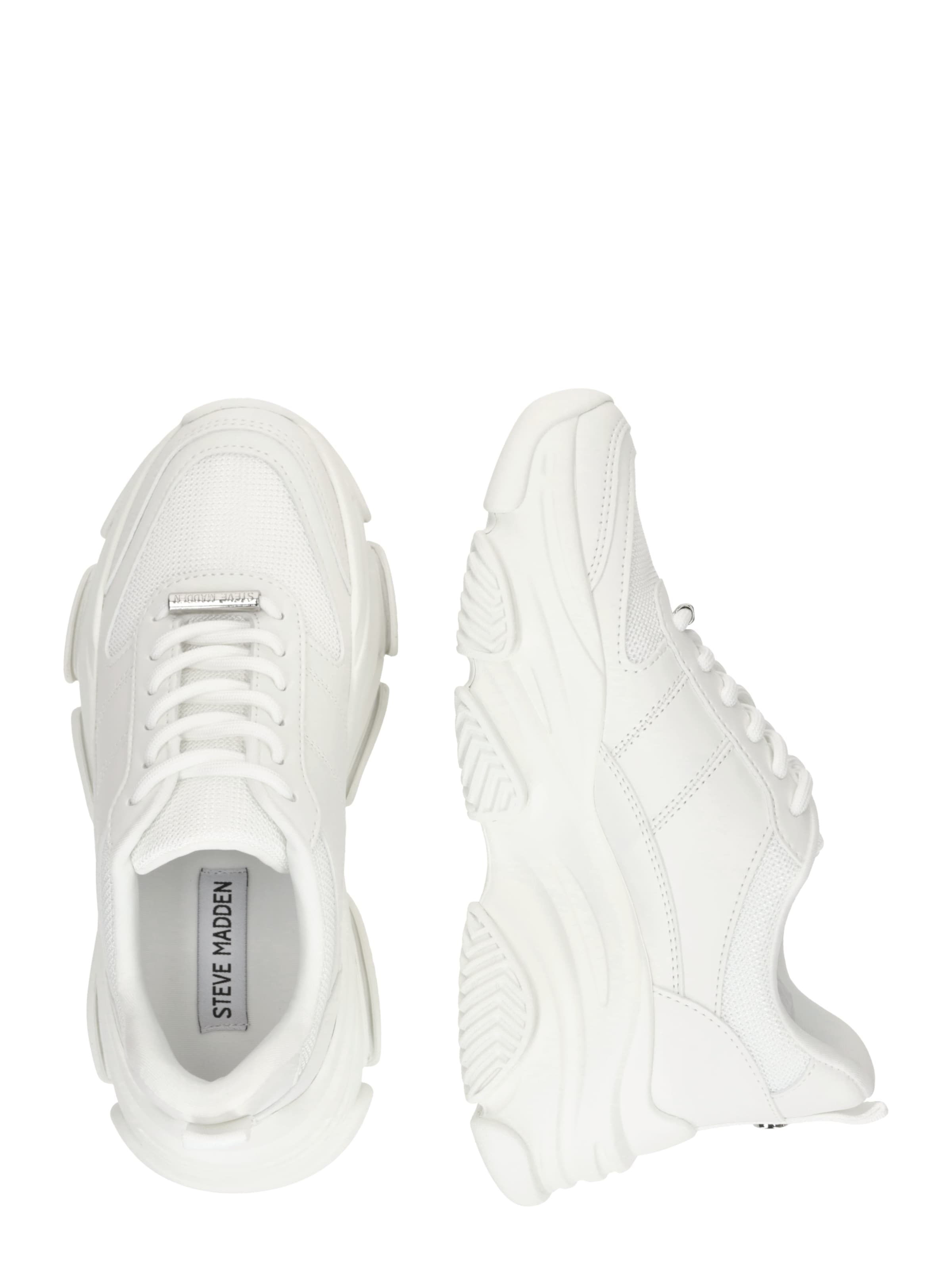 STEVE MADDEN Nizke superge 'Dragon' | bela barva: ob strani