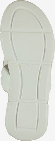 ILC Sandals in White