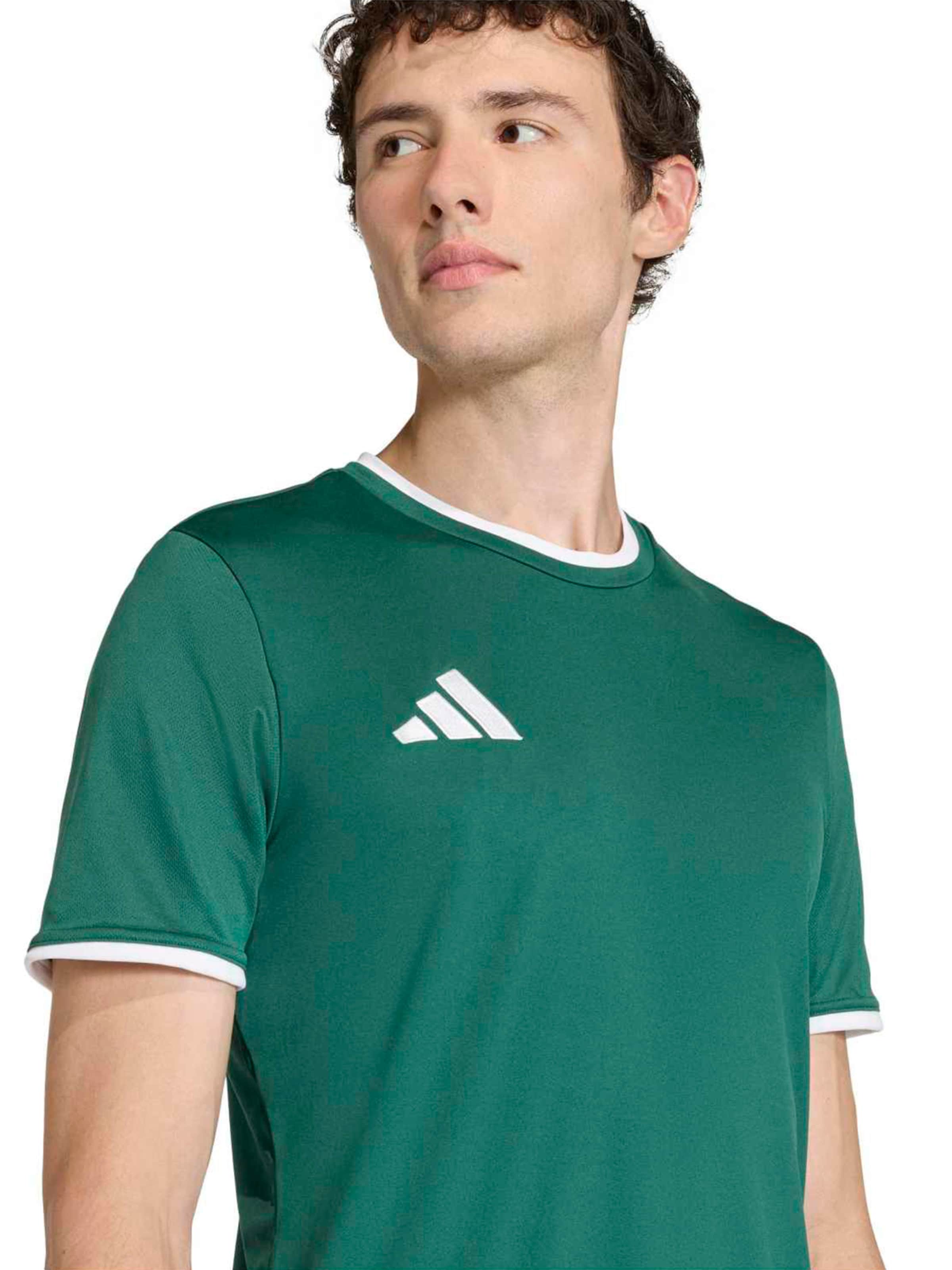 ADIDAS PERFORMANCE Funkcionalna majica 'ENT26' | zelena barva