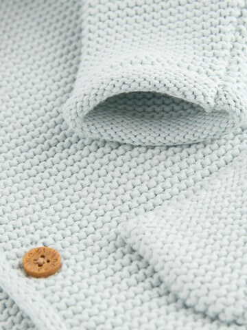 Next Gebreid vest in Blauw