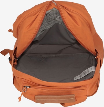 Fjällräven Backpack 'Räven 20' in Brown