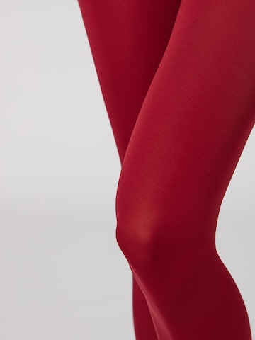 CALZEDONIA Fine Tights in Red
