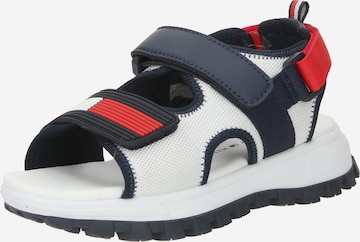 Calzatura aperta di TOMMY HILFIGER in blu: frontale