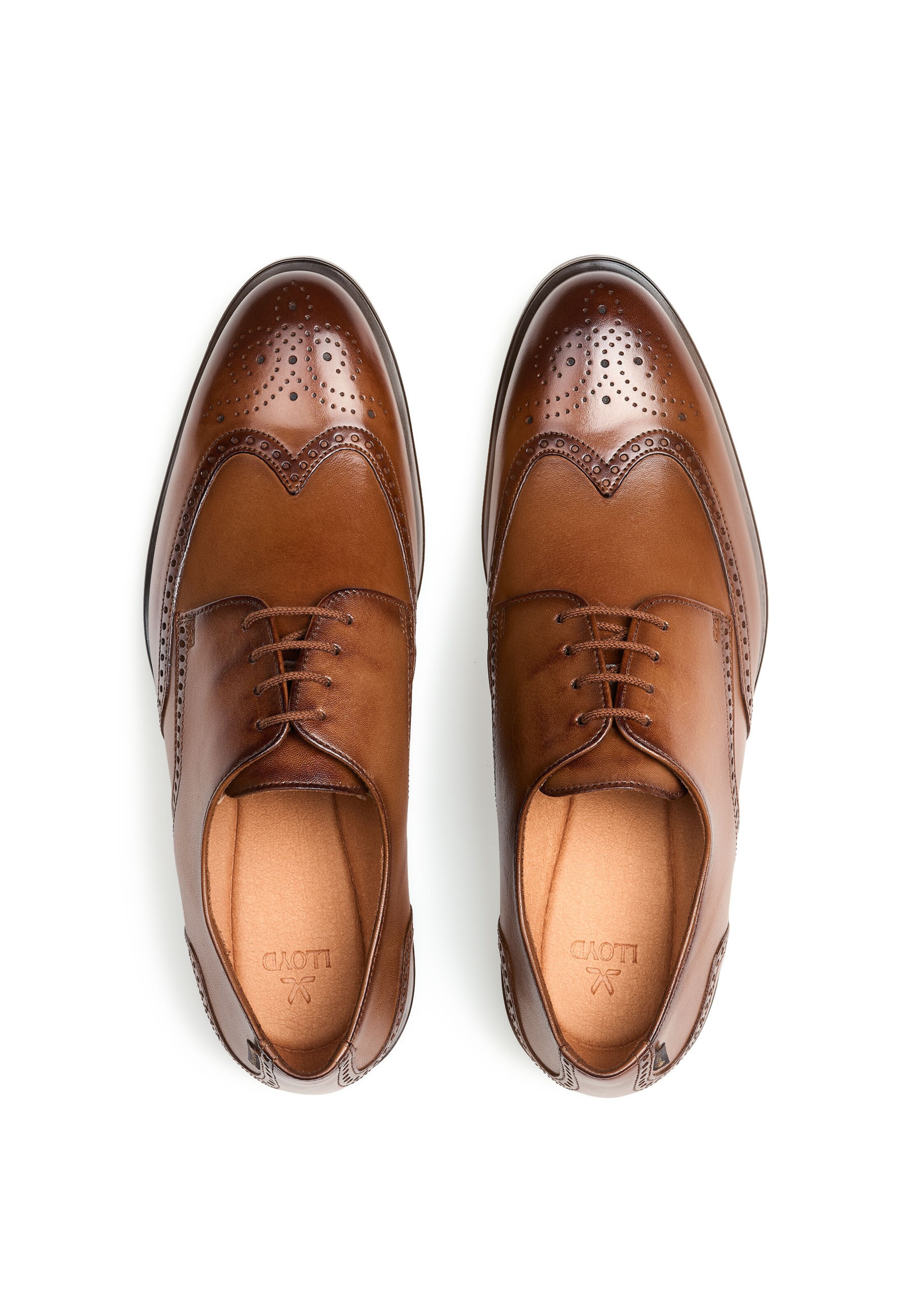 LLOYD Veterschoen in Bruin