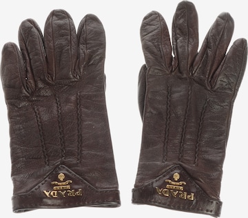 PRADA Handschuhe S in Braun: Vorderseite