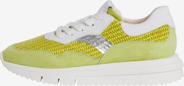 TAMARIS Sneakers in Yellow