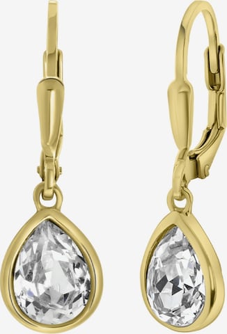 Lucardi Earrings in Gold: front
