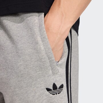 ADIDAS ORIGINALS Regular Shorts in Grau