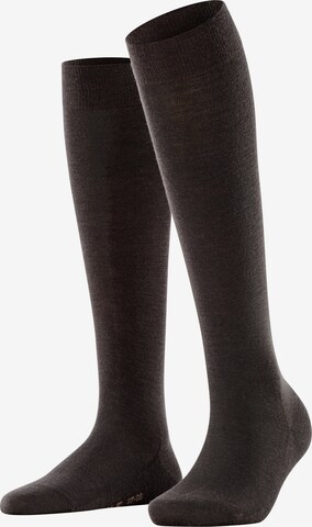 FALKE Knee High Socks 'Softmerino' in Brown: front