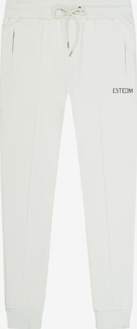 ESTEEM Broek in Beige: voorkant