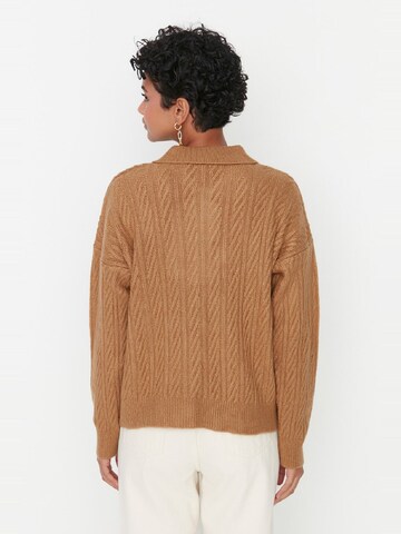 Pullover di Trendyol in marrone