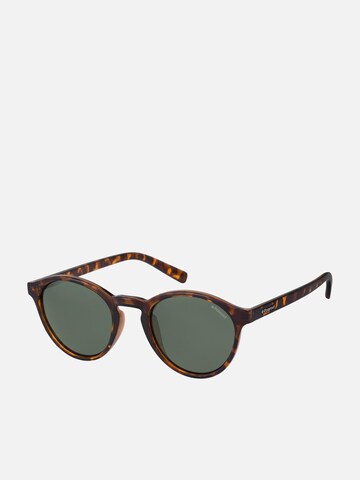 Polaroid Sunglasses in Brown