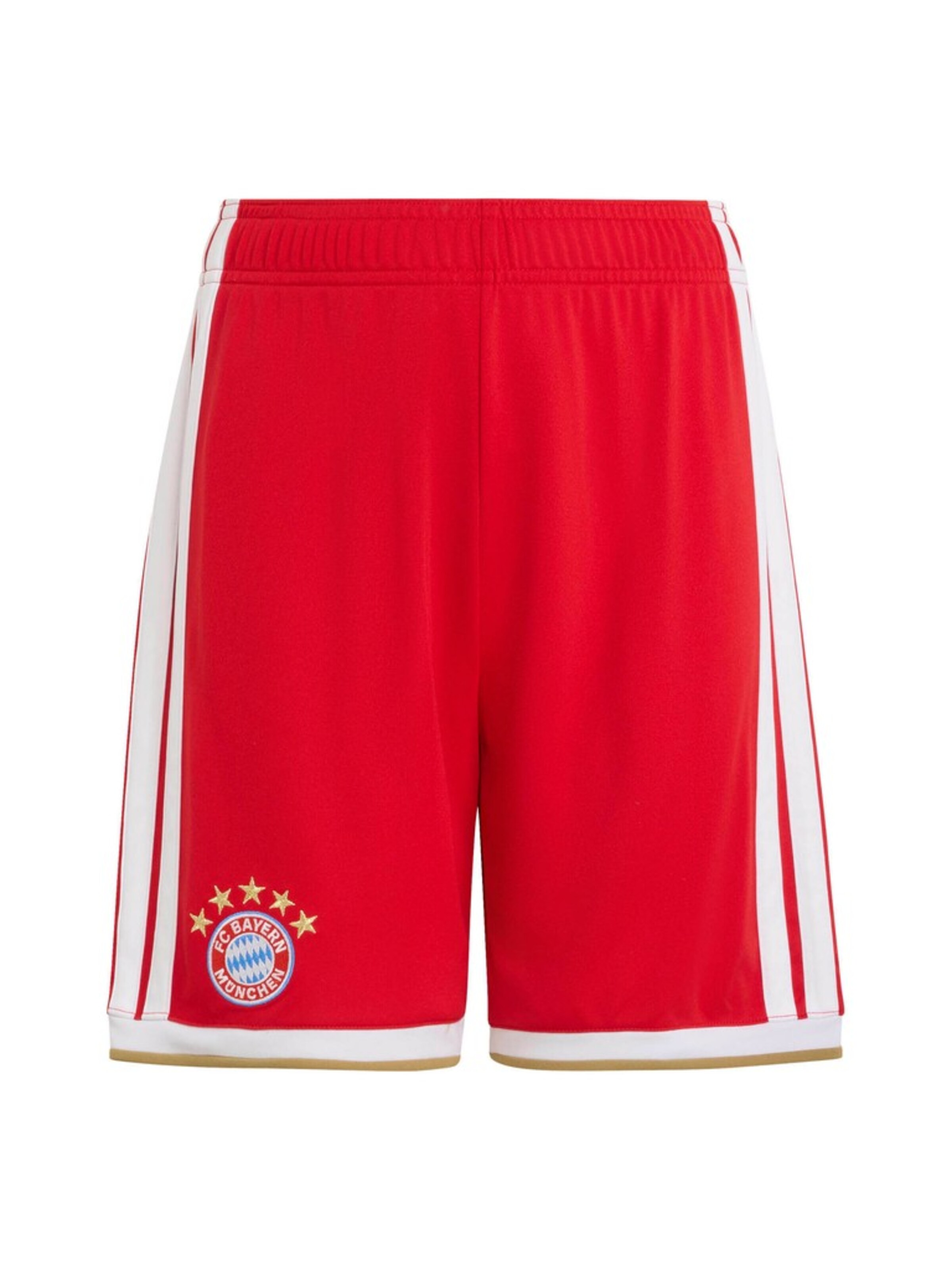 ADIDAS PERFORMANCE - regular Pantalón deportivo 'FC Bayern München 26/27' en rojo: frente