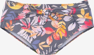 VIVANCE - Braga de bikini en gris: frente