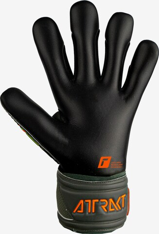 REUSCH Athletic Gloves 'Attrakt Gold X' in Black