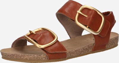 Ca'Shott Sandals in Cognac, Item view