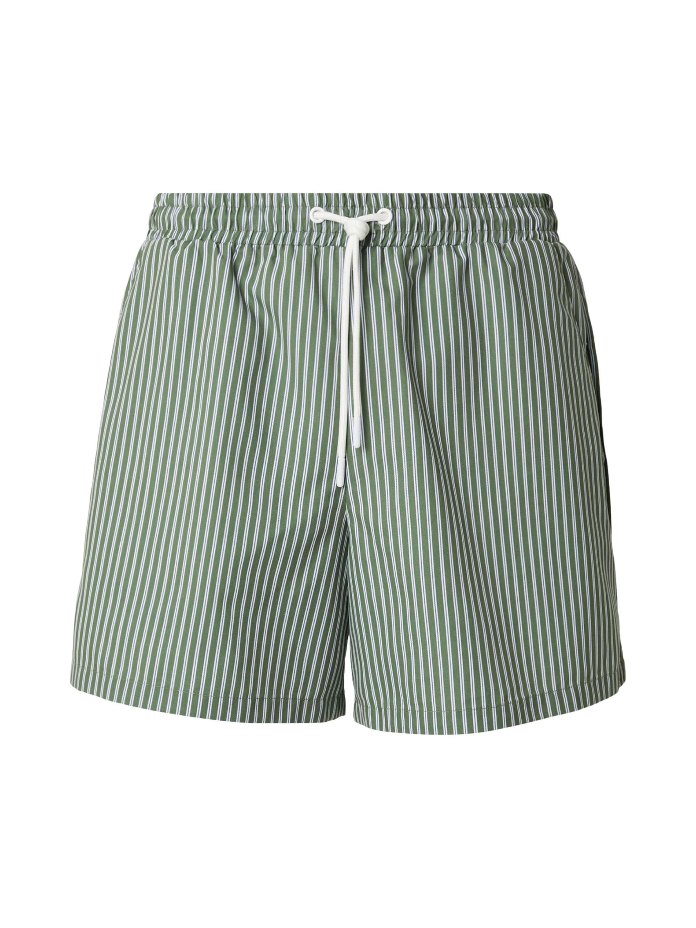 Shorts de bain 'Juri' DAN FOX APPAREL en vert : devant