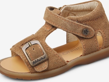 NATURINO Open schoenen 'QUARZO' in Oranje: voorkant