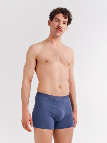 Erlich Textil Boxer shorts 'Casual Cotton' in Blue: front