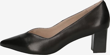 CAPRICE Pumps in Zwart