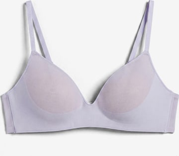 Calvin Klein Underwear BH in Lila: Vorderseite