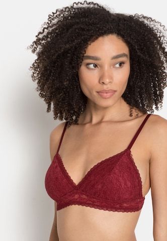 s.Oliver Triangle Bra in Red: front