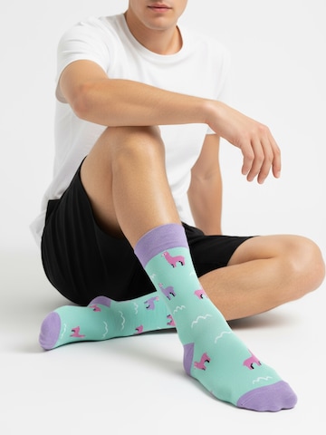 The Arctic Bay Socken 'ZEFYR EDITION Gift box 4 Pack Unisex'‌‌‌‌‌ in Mischfarben: Vorderseite